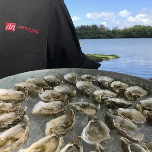Only Catering Company with access to Hawaii&apos;s only oyster company. Kualoa Oysters!
