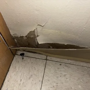 Wall near water fixture. Any one with a brain can assume this is a breeding ground for mold. In an emergency room!