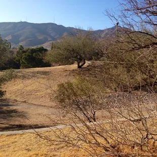 It's a great park haha that's all I have to say