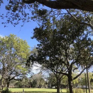 Park
