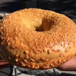 Asiago Bagel