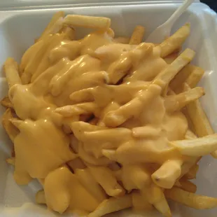 Delicious cheese fries