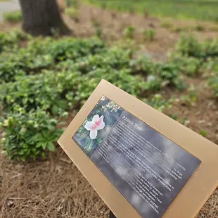 a sign with information about the garden