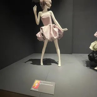 Ariana Grande wore this!