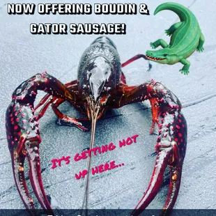 We've added Boudin &amp; Gator sausage to our menu!