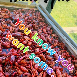 Your favorite crawfish spot in East Memphis