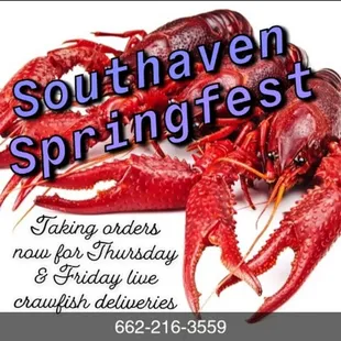 Taking orders for live crawfish deliveries this week...call/text for current prices.