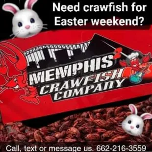 Live bags still available for today