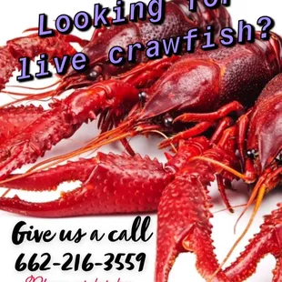 We offer live sales &amp; catering! Call for details