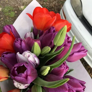a bouquet of tulips