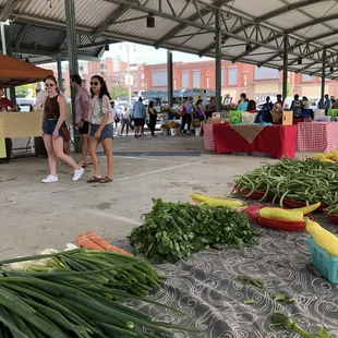 a variety of vegetables on display