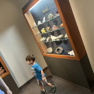 Memphis Museum of Science and History
