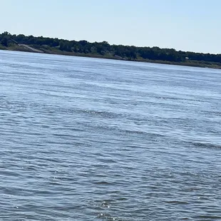 Mississippi River