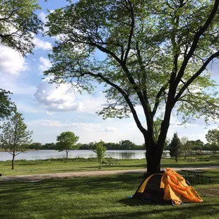 Memphis State Recreation Area Park Picture