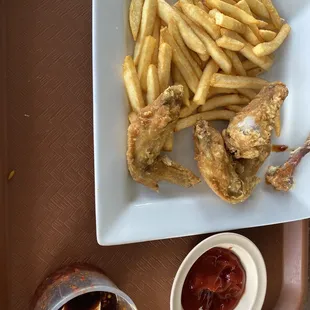 #8 Wings and Fries