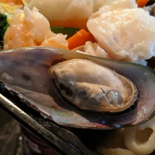 oysters, mussels, oysters and mussels, shellfish, food