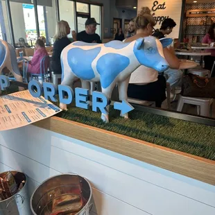 Cow
