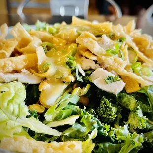 Chinese chicken salad