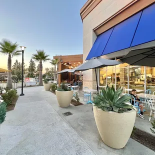Outdoor patio near the entrance and extends to the back.