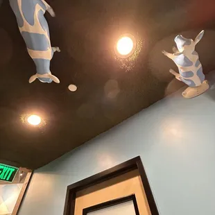 How did those cows get up there? Hmmm. Lol