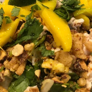 Thai Mango Salad
