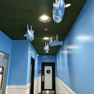 Tons of blue cows hanging upside down towards the restrooms
