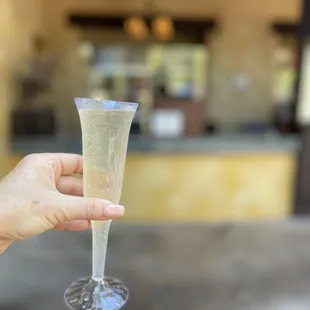 a hand holding a wine glass