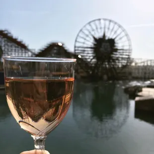 a person holding a glass of wine