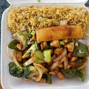 Burbon chicken with Chicken Fried Rice