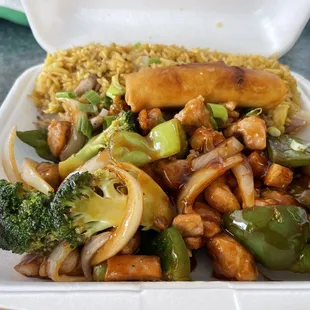 Burbon Chicken with Chicken Fried Rice