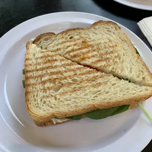 Tuna Melt Panini