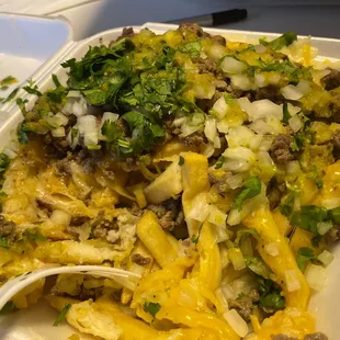 Carne asada fries
