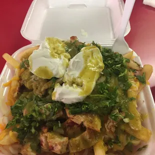 I got carne asada fries but with chicken. It was so good.