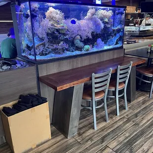 Entrance with Aquarium