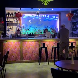 Mèo Bar
