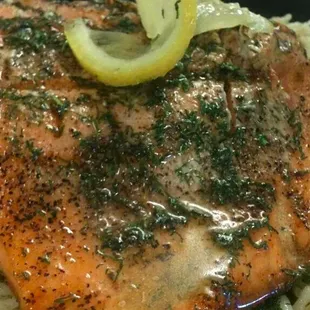 Salmon