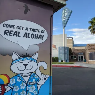  cat in a hawaiian shirt