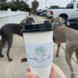 Large Cappuccino