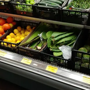 Nopales and aloe