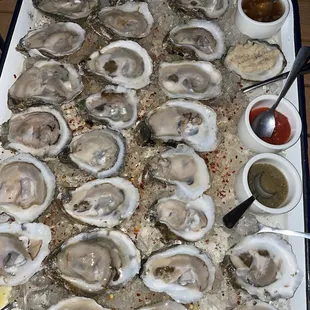 Oysters happy hour