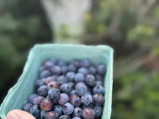 Lighthouse Community Garden