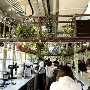 Reach New Heights: (@ Presta Coffee Roasters)