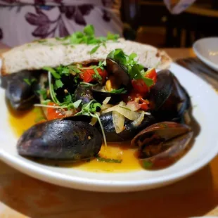 mussels, food, shellfish, oysters and mussels, oysters