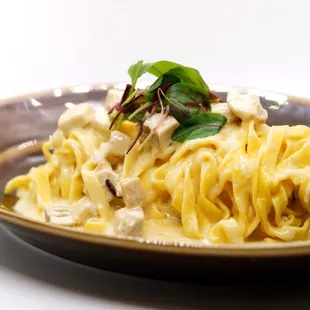 Chicken Alfredo Pasta: Fresh Fettuccine with Cream Sauce, topped with Diced Chicken Pieces and Green Leafs.