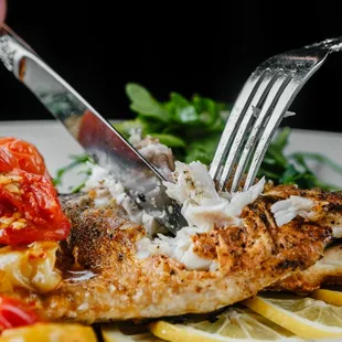 Branzino: Spicy Calabrian Tomato Sauce, Arugula, Fennel &amp; Charred Lemon