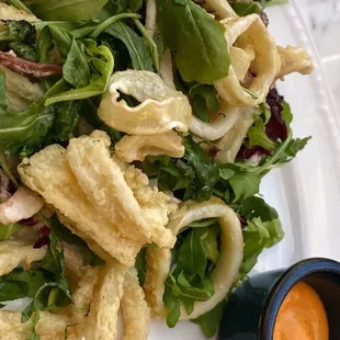 Fried Calamari