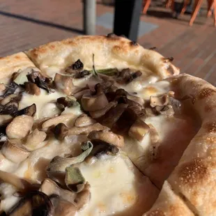 Fungi pizza