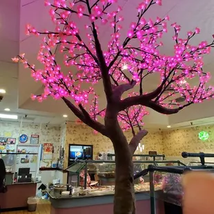a lighted cherry tree