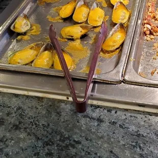 oysters and mussels, interior