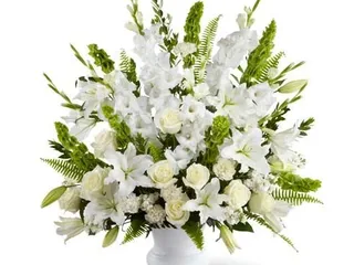 Absolute Economical Funeral Home